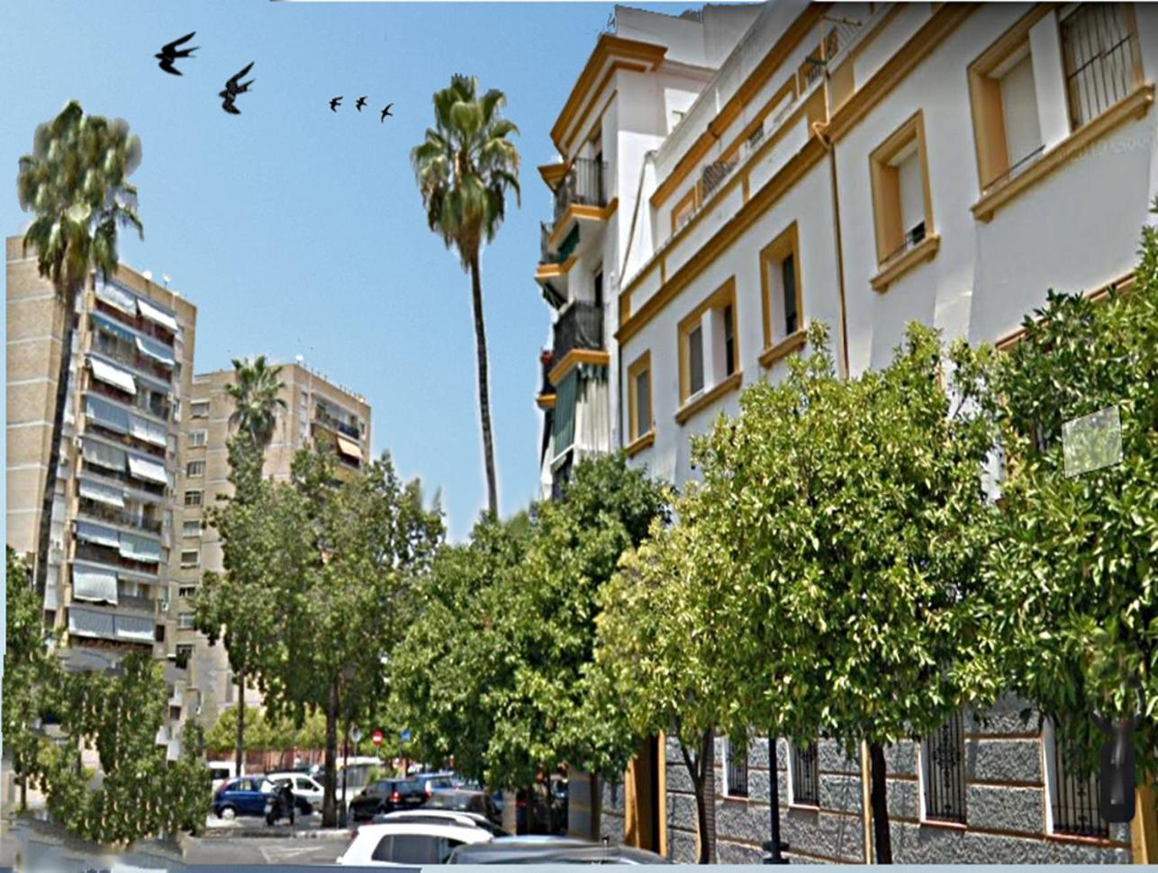 Apartamento San Juan De Dios Sevilla Exteriér fotografie